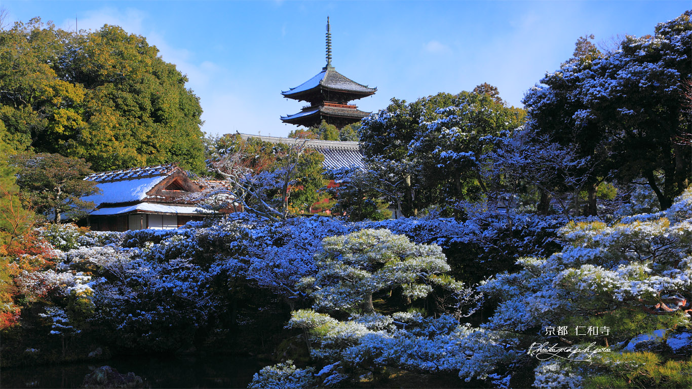 雪の仁和寺北庭 壁紙