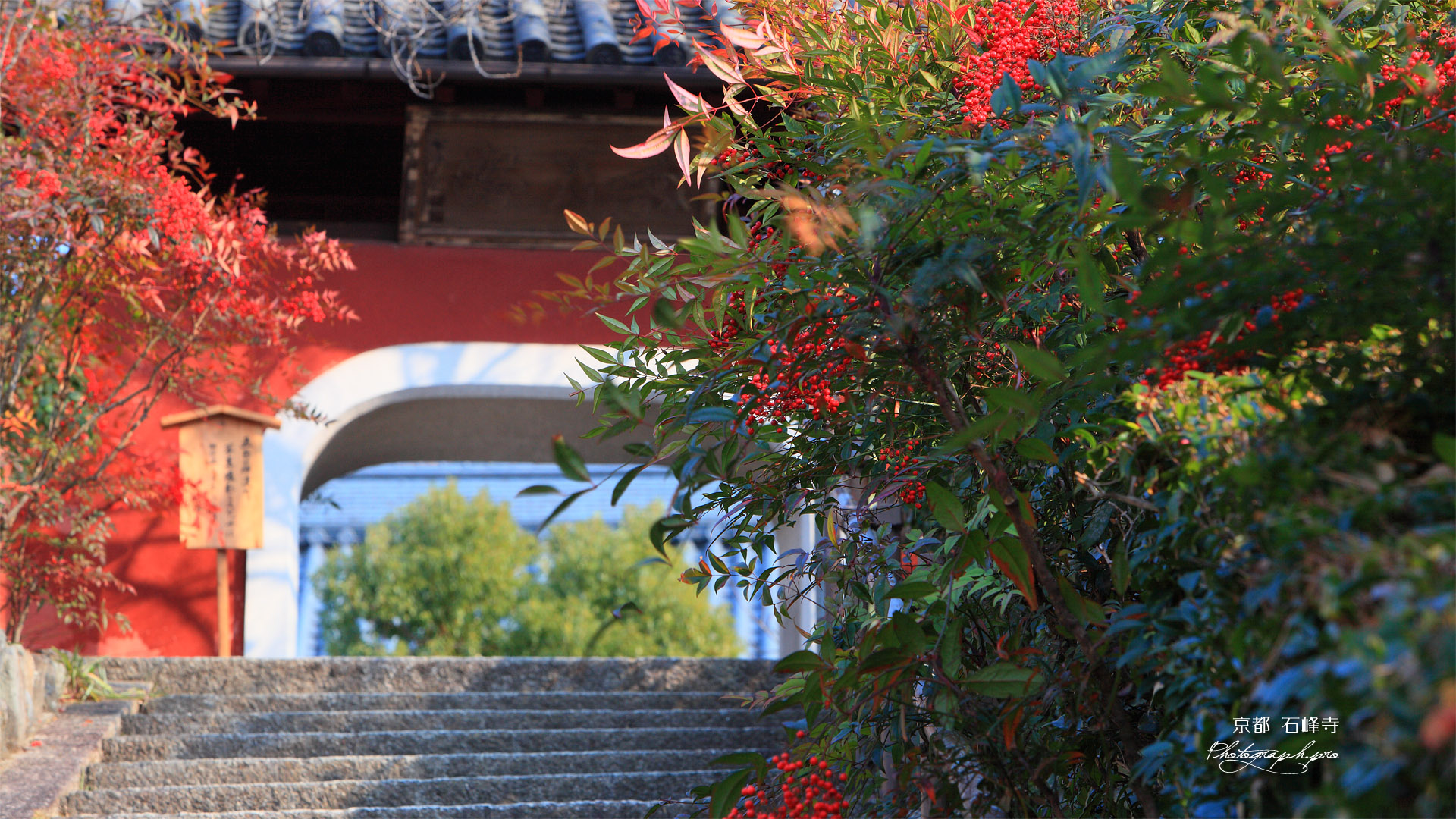 石峰寺 参道のナンテンと赤門