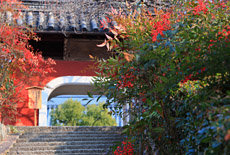 石峰寺