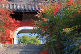 石峰寺