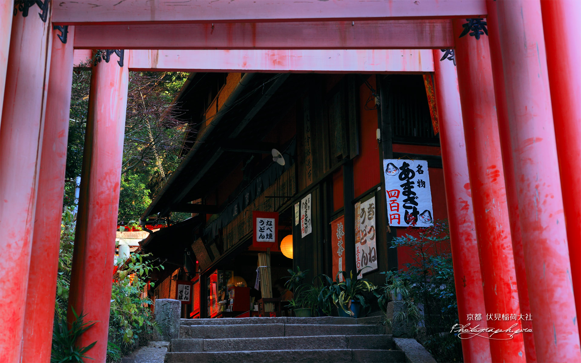 伏見稲荷大社 鳥居越しの茶屋
