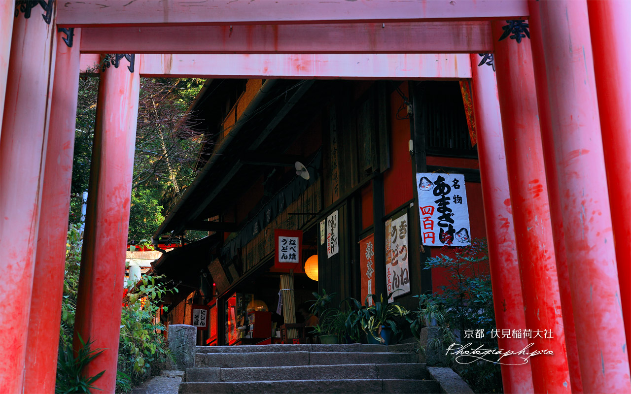 伏見稲荷大社 鳥居越しの茶屋 壁紙