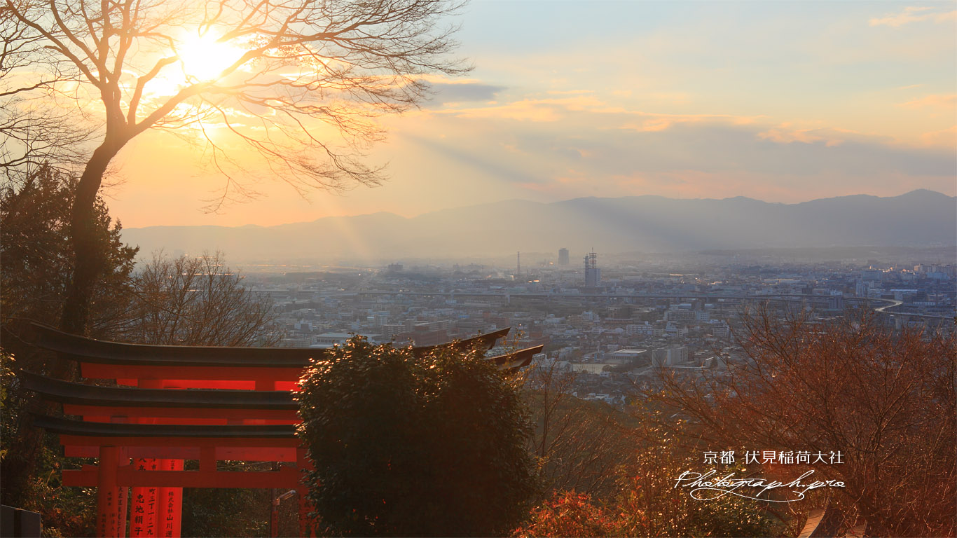 伏見稲荷大社 四つ辻からの夕陽 壁紙