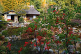 京都等持院 南天と清漣亭