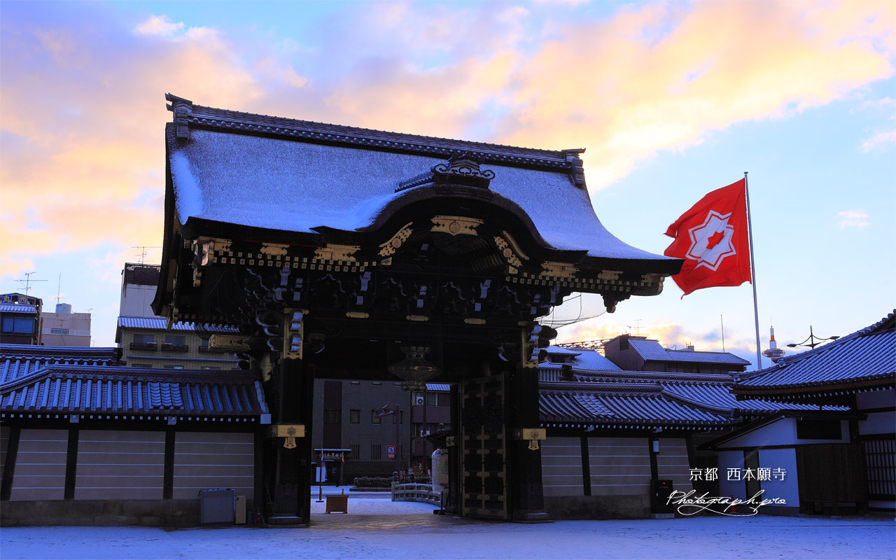 雪化粧の西本願寺阿弥陀堂門 壁紙
