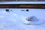 龍安寺 雪化粧の石庭