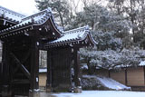 雪舞う清和院御門