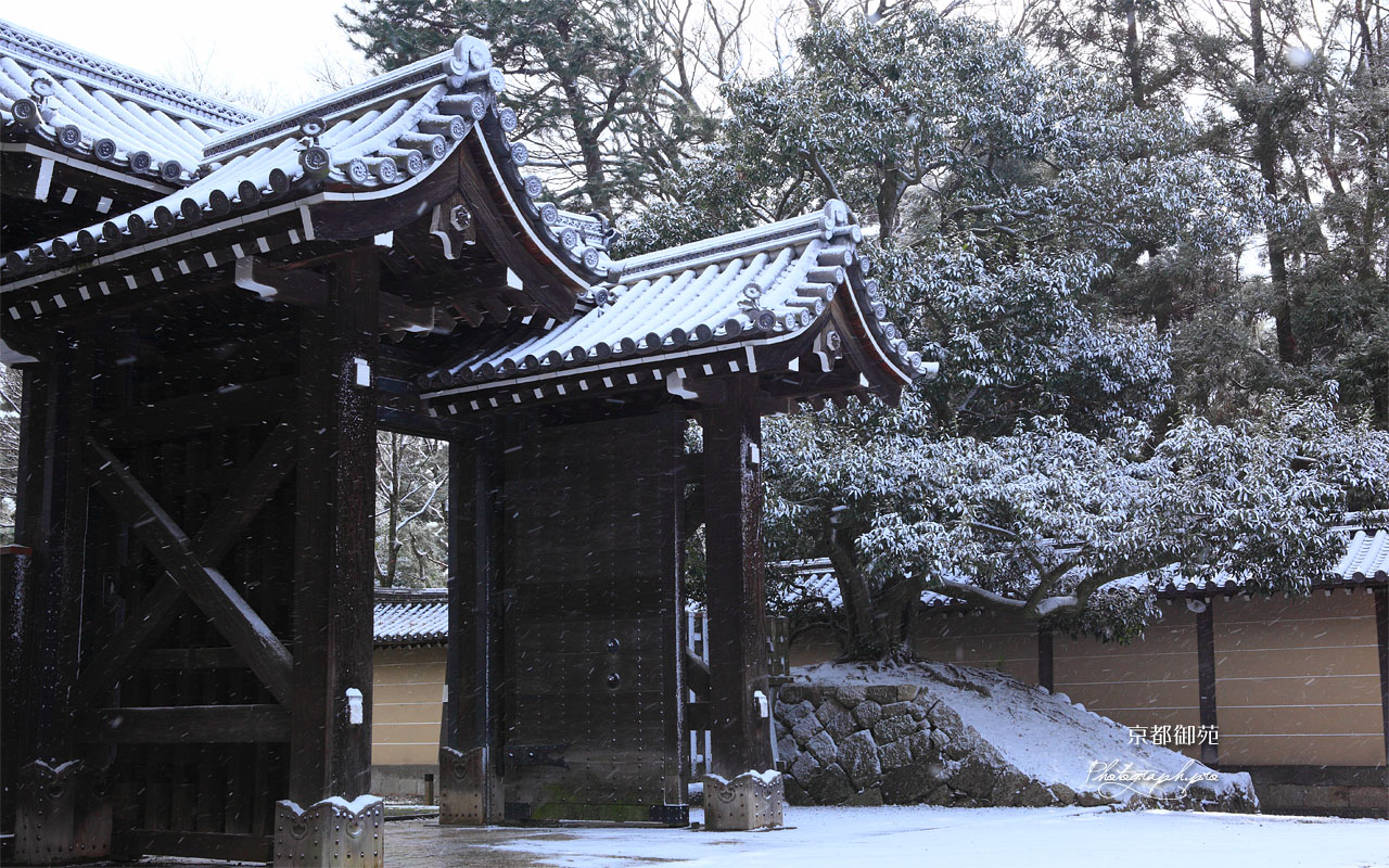 雪舞う清和院御門 壁紙