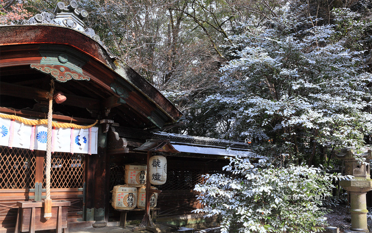 梨木神社 淡雪の本殿 壁紙