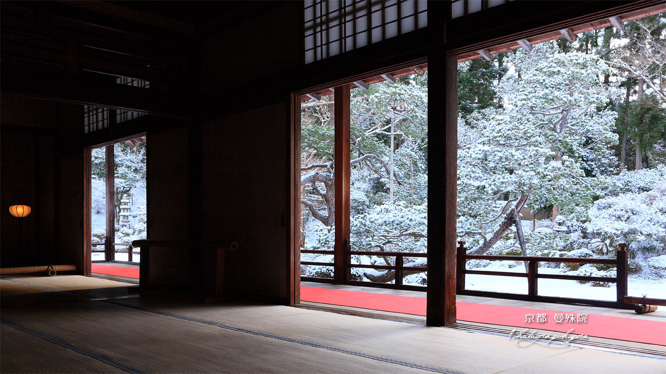 曼殊院 大書院から雪化粧の庭園 壁紙