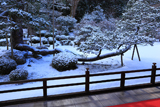 曼殊院 雪見庭園の白鶴