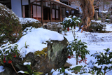 圓光寺 十牛之雪庭の万両