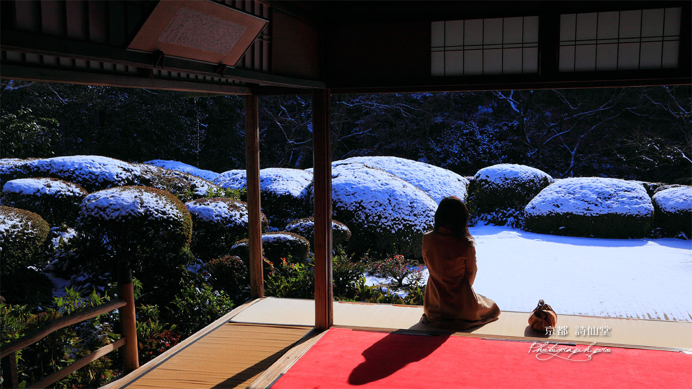 詩仙堂庭園の雪景色 壁紙