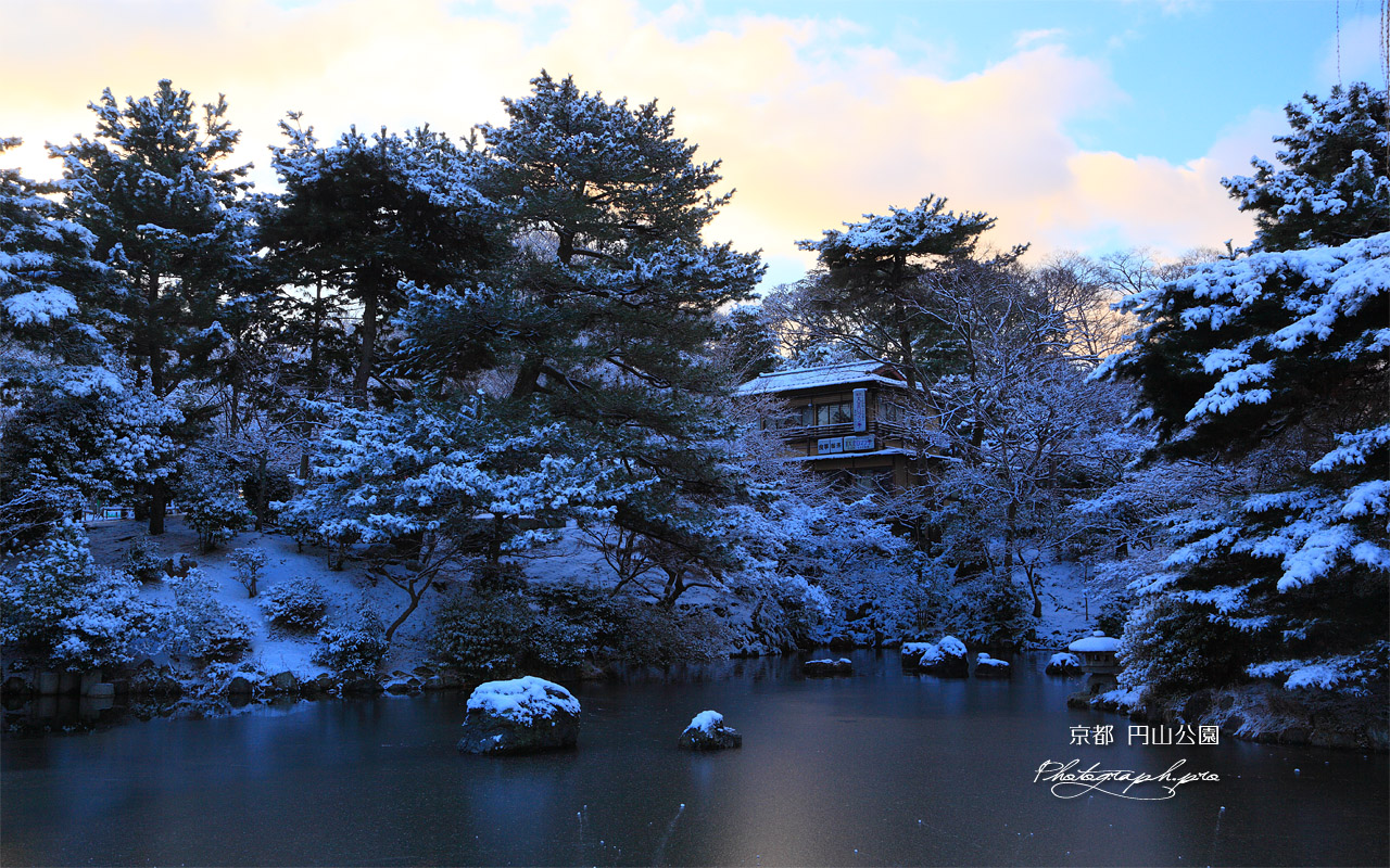 円山公園 結氷のひょうたん池 壁紙