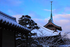 大雲院