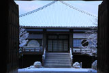 大雲院 山門越しの雪化粧の本堂