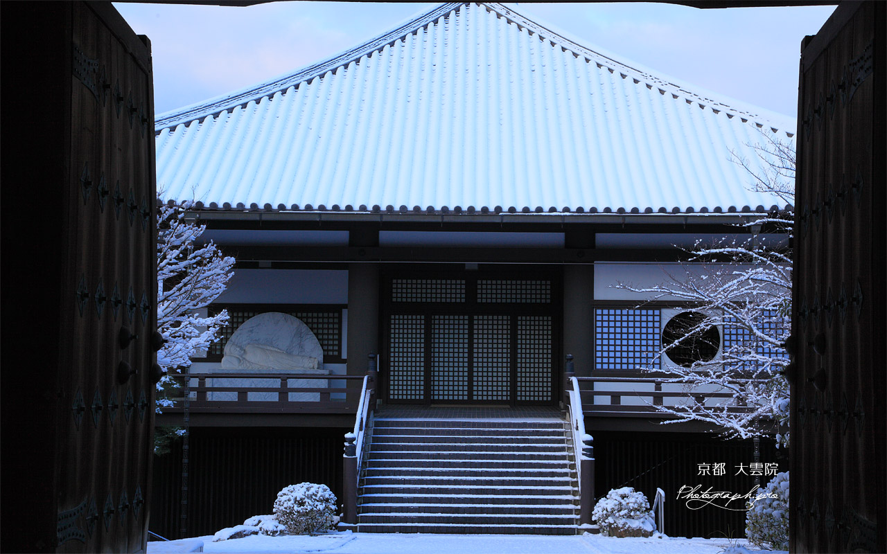 大雲院 山門越しの雪化粧の本堂 壁紙