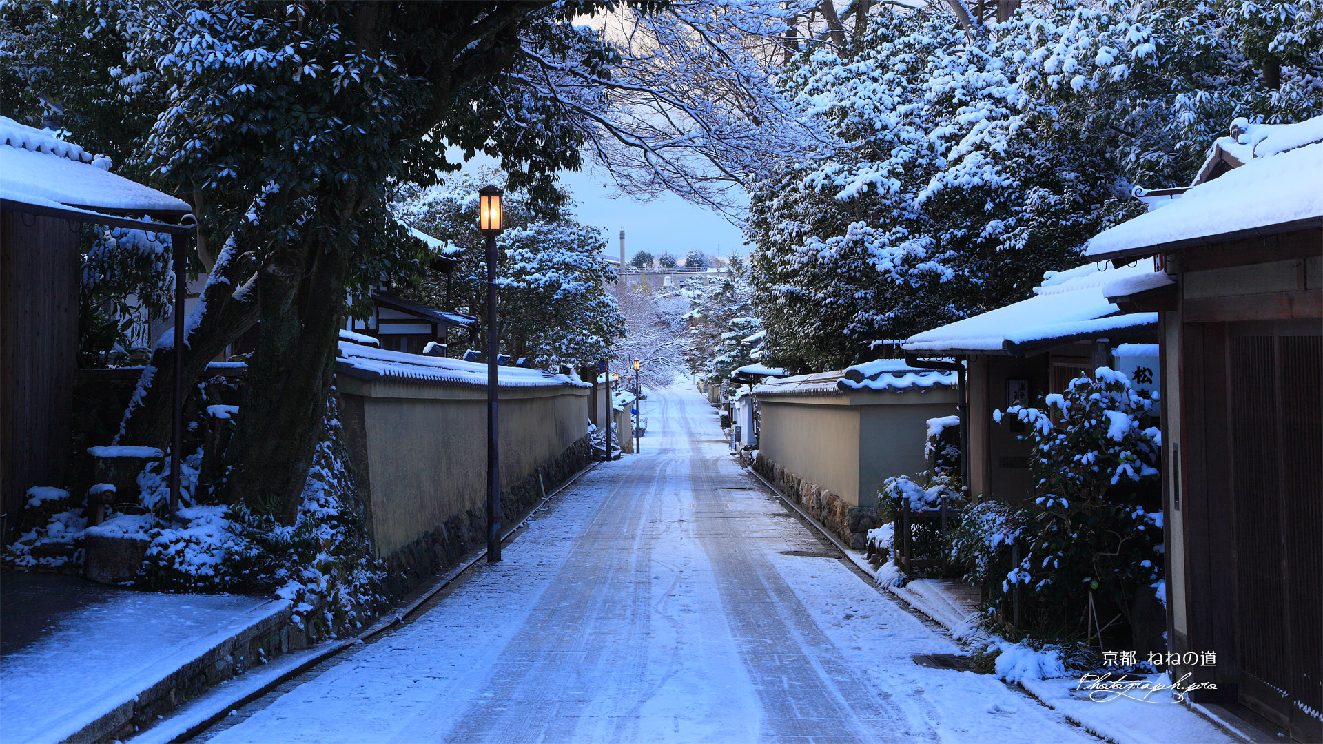 雪化粧したねねの道