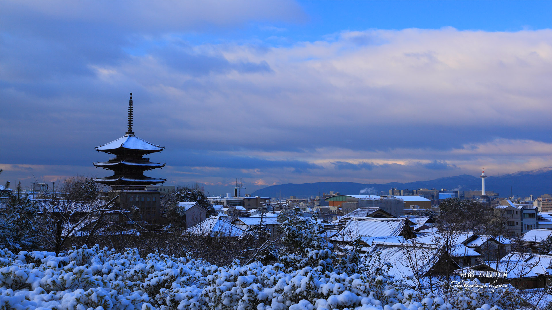 高台寺からの八坂の塔