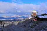 雪の清水寺三重塔と京都市街