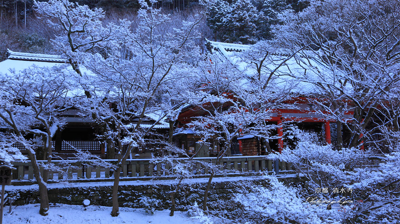 清水寺 雪の釈迦堂と阿弥陀堂 壁紙