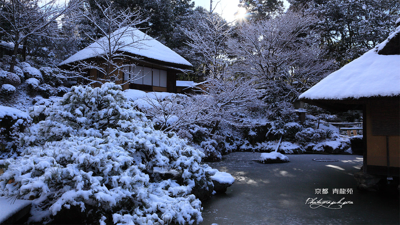 京都 青龍苑の雪景色 壁紙