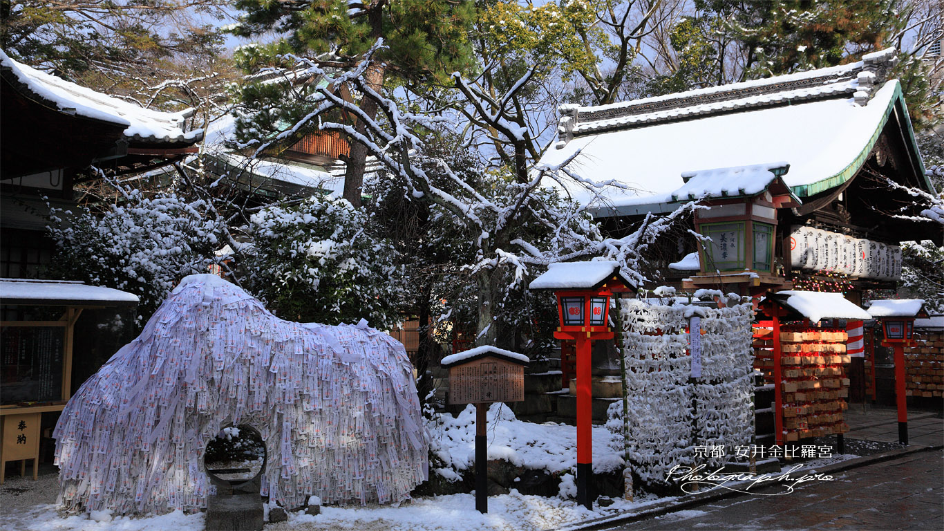 安井金比羅宮 斑雪 壁紙