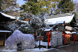 安井金比羅宮 斑雪