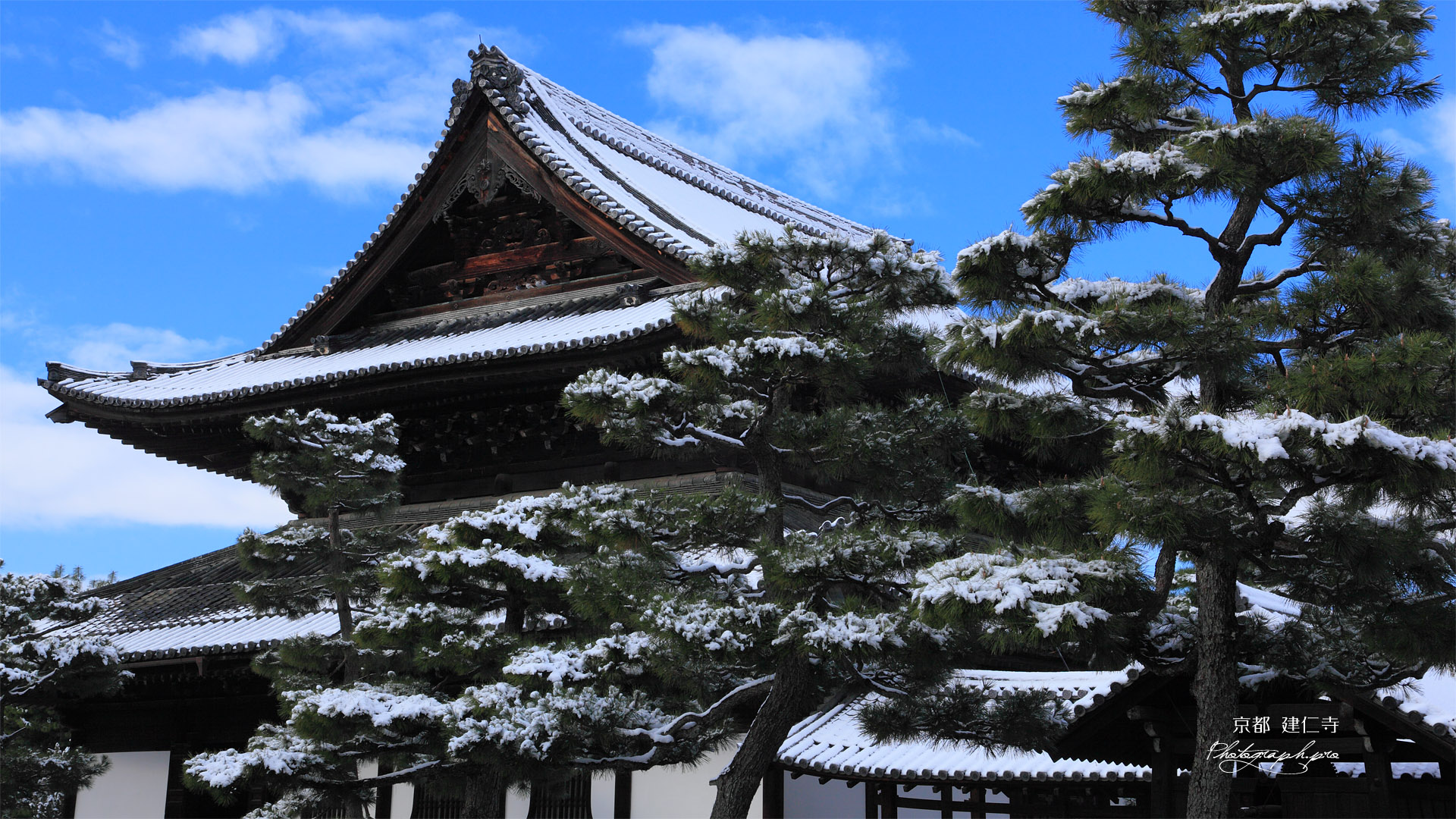 建仁寺 雪化粧の法堂