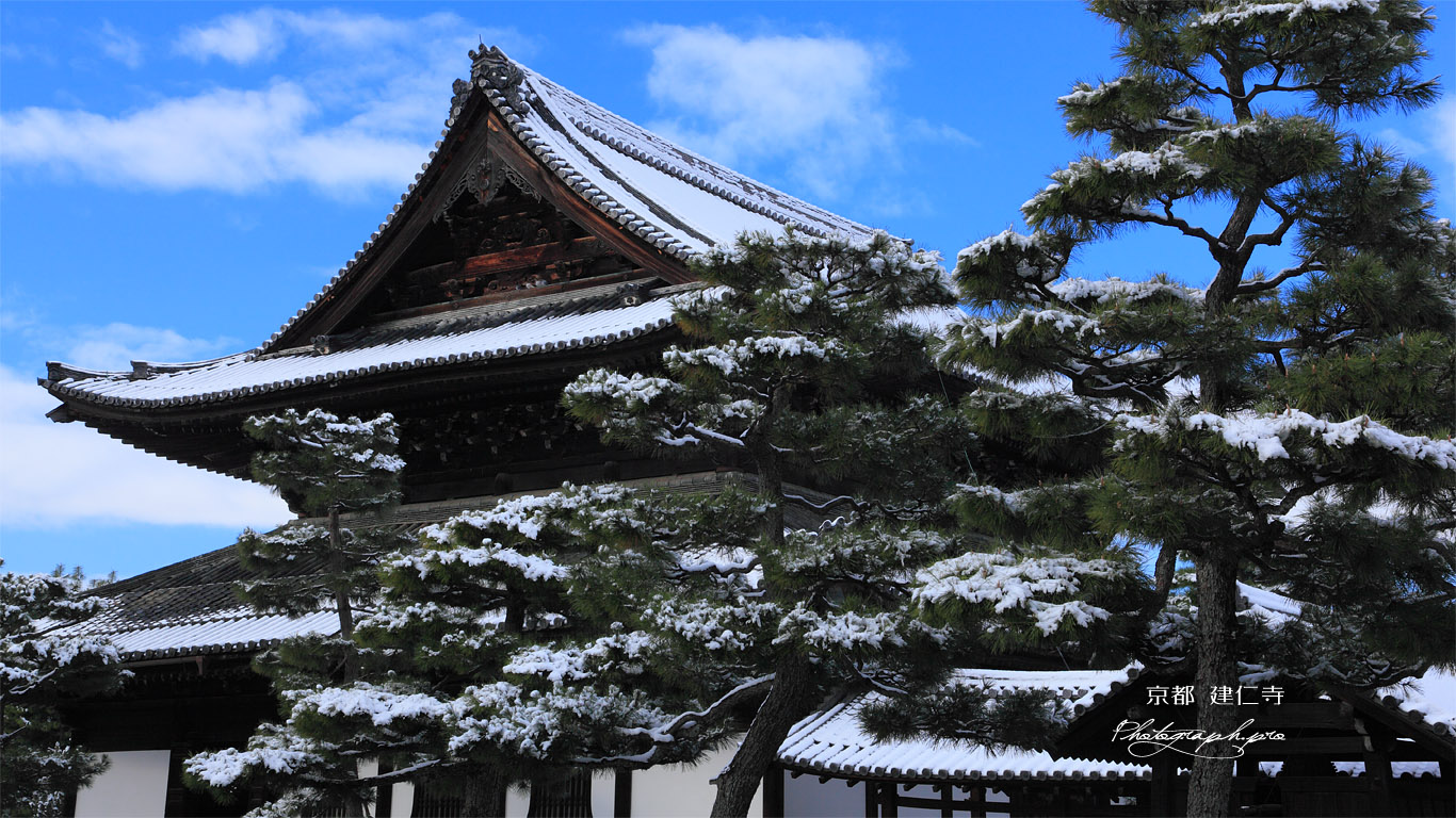 建仁寺 雪化粧の法堂 壁紙