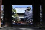 建仁寺 三門越しの雪景色の法堂