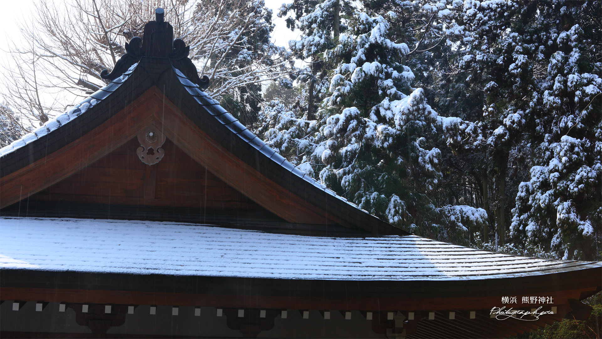 朝比奈 雪降る熊野神社