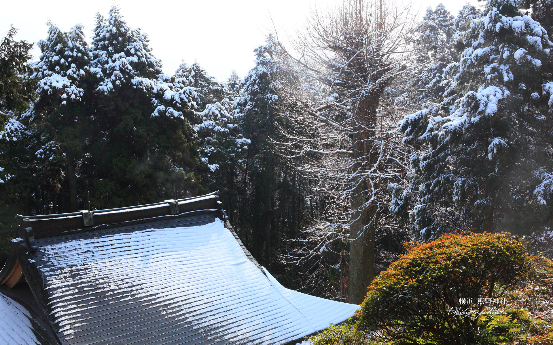 朝比奈 熊野神社の雪景色