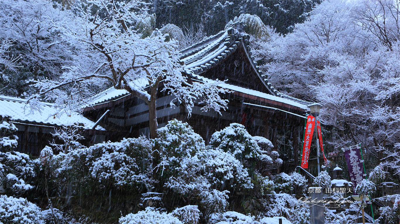 山科聖天 雪の聖天堂 壁紙