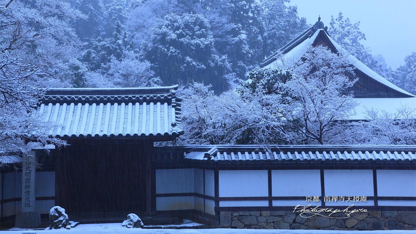 南禅寺天授庵 雪降る日 壁紙