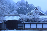 南禅寺天授庵 雪降る日