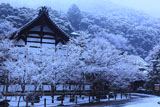 雪化粧した永観堂