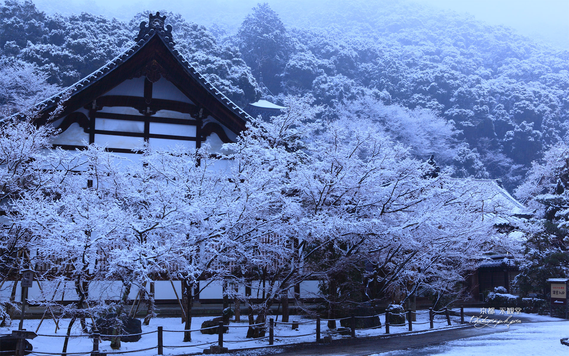 雪化粧した永観堂