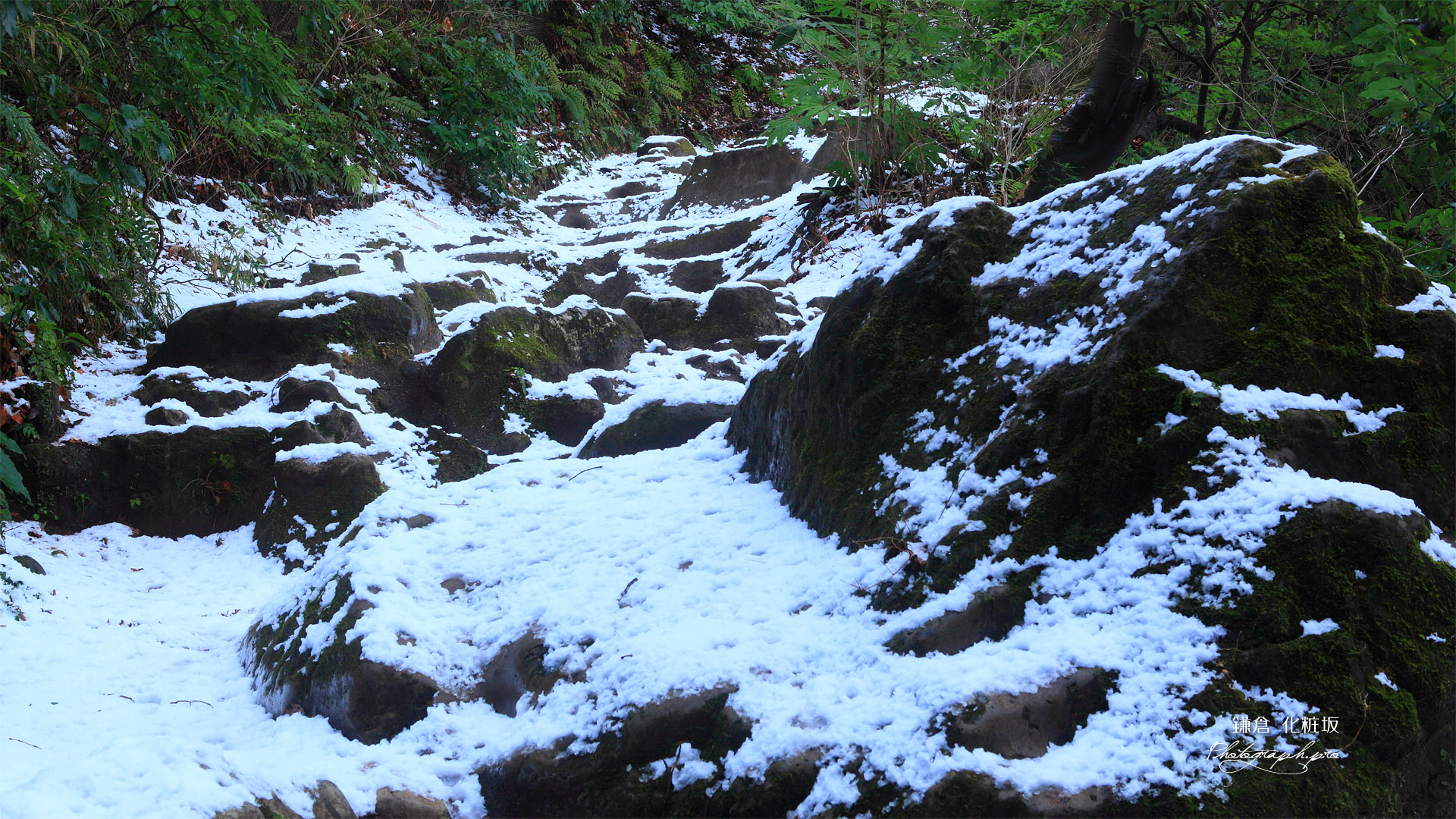 鎌倉化粧坂の雪化粧坂