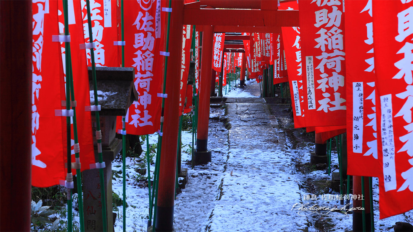 佐助稲荷神社 斑雪の参道 壁紙