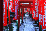 佐助稲荷神社 斑雪の参道