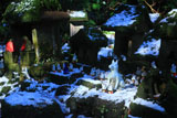 佐助稲荷神社 白狐のボス