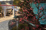 鎌倉宮