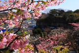 宝善院