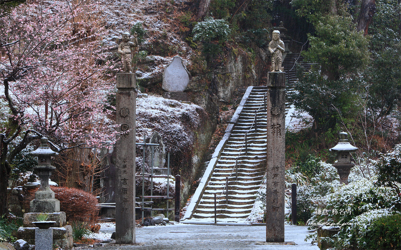 鎌倉称名寺 積雪した不動堂参道 壁紙