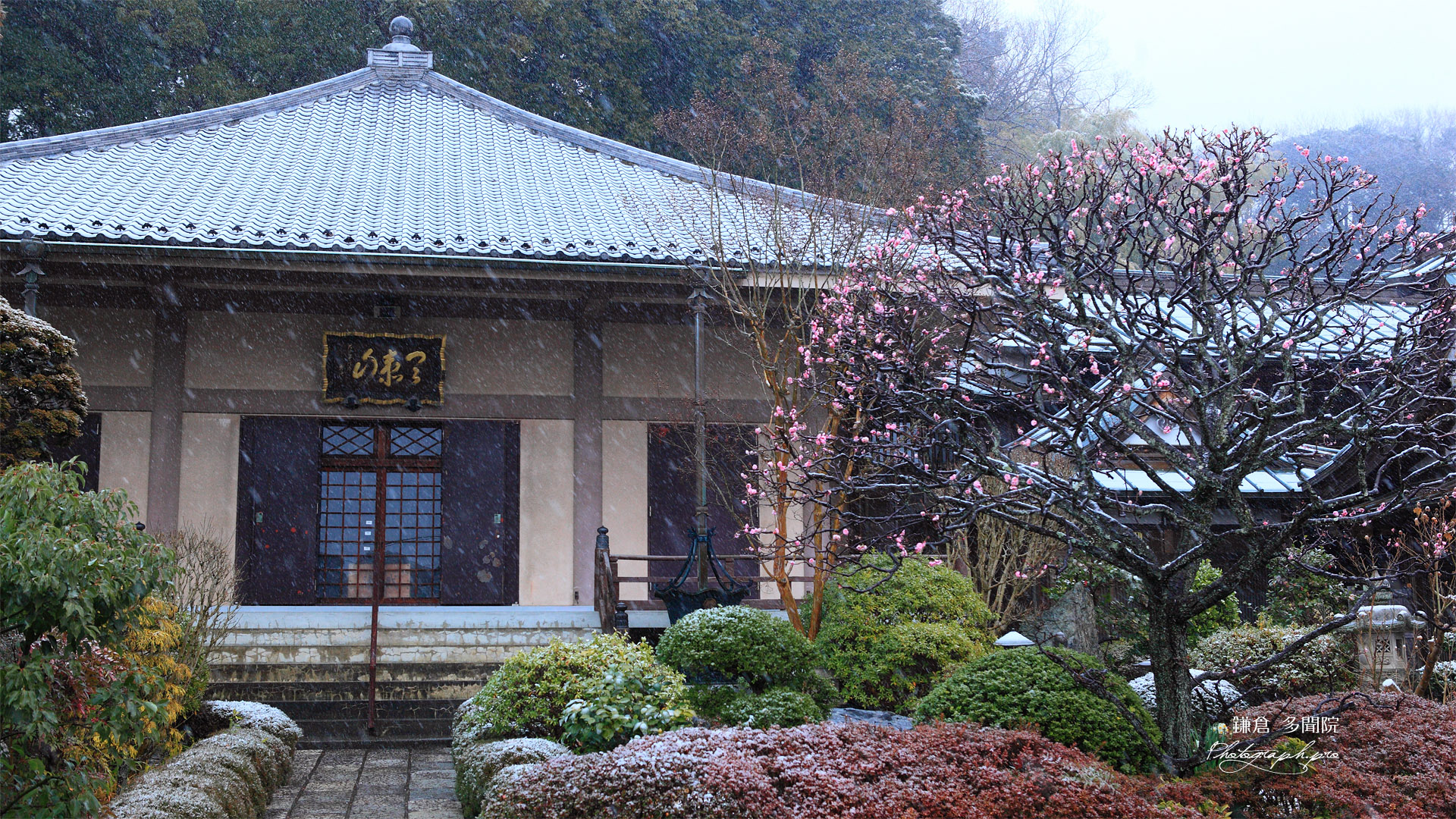 雪舞う鎌倉多聞院