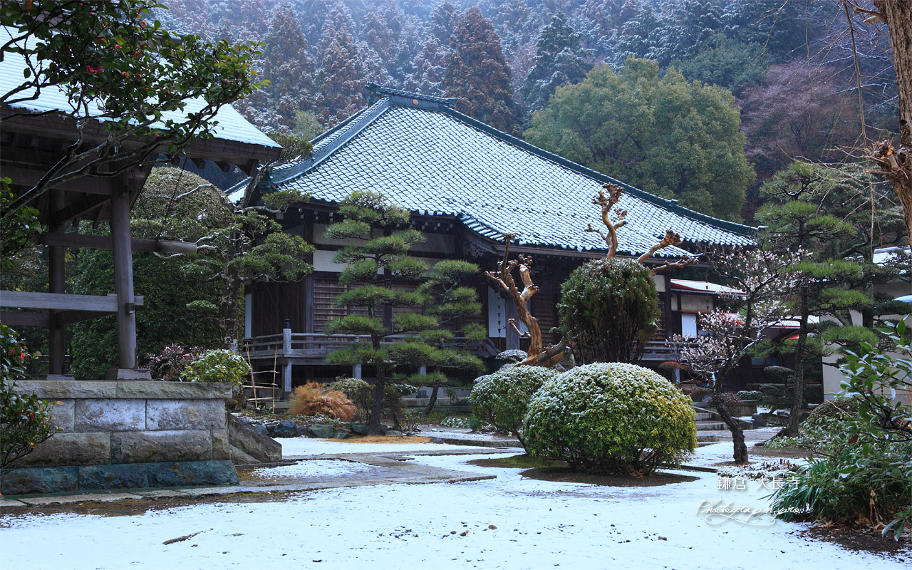 鎌倉大長寺 雪化粧した境内 壁紙