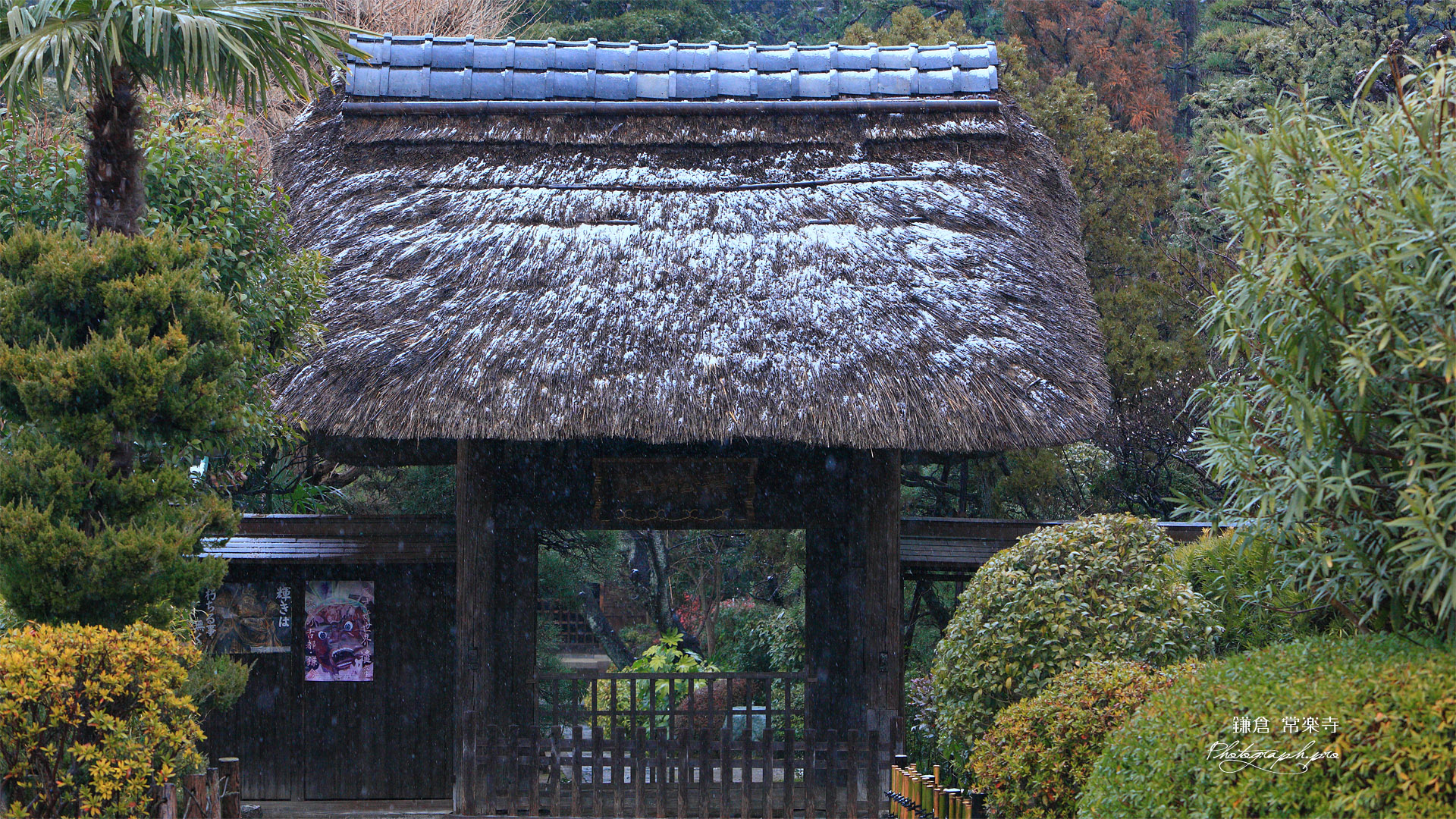 常楽寺 雪の山門