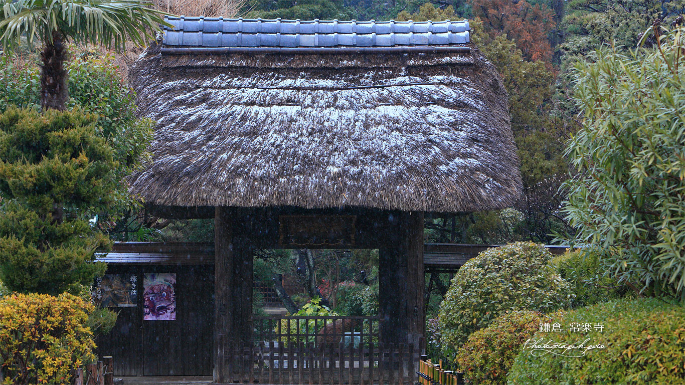 常楽寺 雪の山門 壁紙