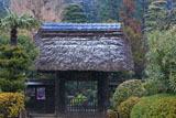 常楽寺 雪の山門